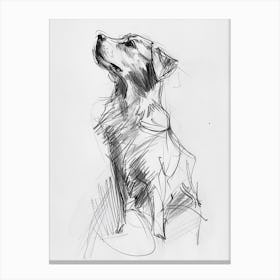Small Dog Charcoal Line Canvas Print