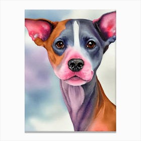 American Hairless Terrier 4 Watercolour dog Canvas Print