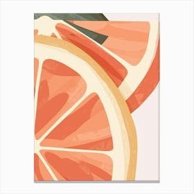 Grapefruits Close Up Illustration 3 Canvas Print