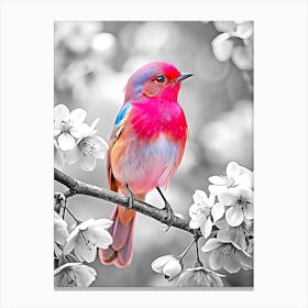 Pink Bird (3) Canvas Print