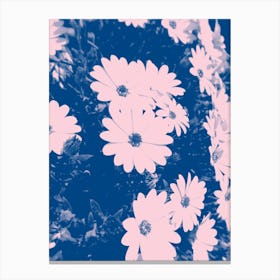 Daisies In Pink And Blue Canvas Print