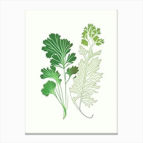 Parsley Spices And Herbs Minimal Line Drawing 4 Canvas Print