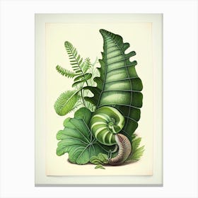 Snail With Fern Leaves 1 Botanical Canvas Print