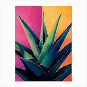 Aloe Vera Canvas Print