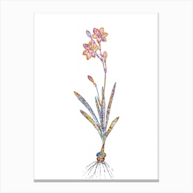 Stained Glass Coppertips Mosaic Botanical Illustration on White Canvas Print