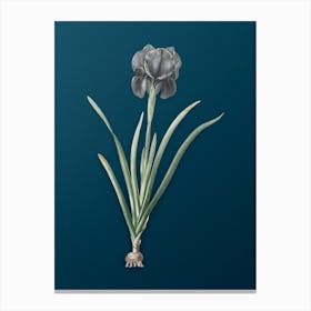 Vintage Mourning Iris Botanical Art on Teal Blue n.0684 Canvas Print