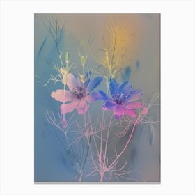Iridescent Flower Love In A Mist 1 Canvas Print