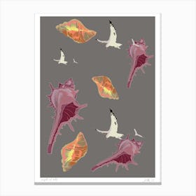 Seagulls and shells Canvas Print