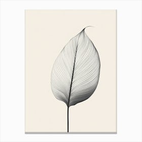 Lines Leaf Canvas Print