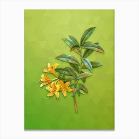 Vintage Yellow Azalea Botanical Art on Love Bird Green n.1444 Canvas Print