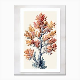 Coral Print Canvas Print