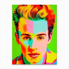 Shawn Mendes 2 Colourful Pop Art Canvas Print