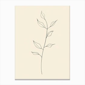 Line Drawing Of A Leaf 1 Canvas Print