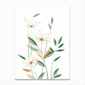 Daisy Flowers Canvas Print