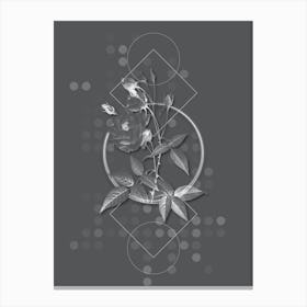 Vintage Common Rose of India Botanical with Line Motif and Dot Pattern in Ghost Gray n.0036 Canvas Print