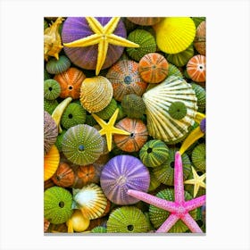 Seashells Canvas Print