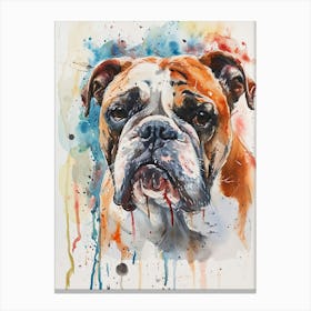 Bulldog Watercolor Painting 4 Canvas Print