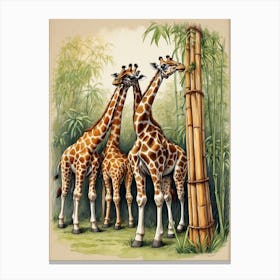 Giraffes 2 Canvas Print