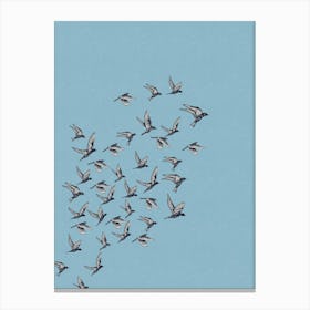 Blue Bird Flock Print Canvas Print