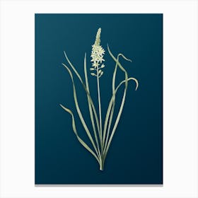 Vintage Wild Asparagus Botanical Art on Teal Blue n.0873 Canvas Print