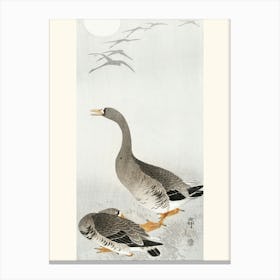 Two Geese (1900 1910), Ohara Koson Canvas Print