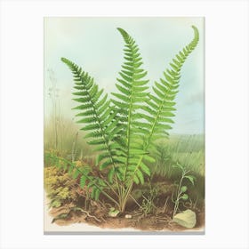 Vintage Illustration Staghorn Fern 2 Canvas Print