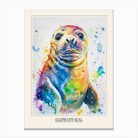 Elephant Seal Colourful Watercolour 4 Poster Canvas Print