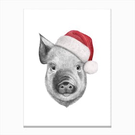 Christmas Pig Canvas Print