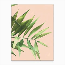 Palm Leaves On A Pink Background 1 Canvas Print