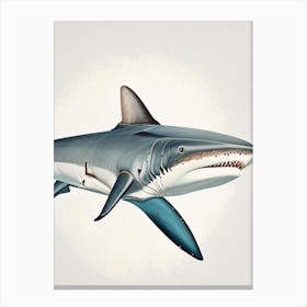 Porbeagle Shark Vintage Canvas Print