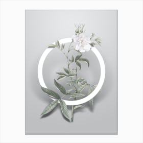 Vintage White Rose of York Minimalist Botanical Geometric Circle on Soft Gray n.0528 Canvas Print