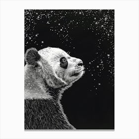 Giant Panda Looking At A Starry Sky Ink Illustration 4 Canvas Print