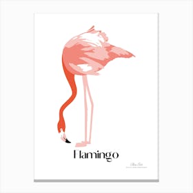 Flamingo. Long, thin legs. Pink or bright red color. Black feathers on the tips of its wings.1 Canvas Print