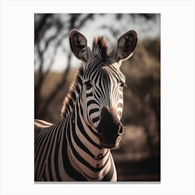 Portrait of a Zebra Canvas Print