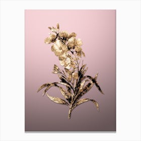 Gold Botanical Cheiranthus Flower on Rose Quartz n.0749 Canvas Print