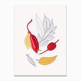 Cayenne Pepper Spices And Herbs Minimal Line Drawing 3 Canvas Print