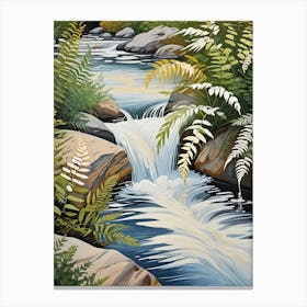 Ferns And Stream no1 Canvas Print