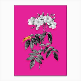 Vintage Musk Rose Black and White Gold Leaf Floral Art on Hot Pink n.0224 Canvas Print