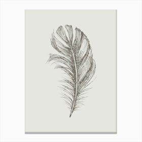 Grey Feather Print 3 Canvas Print