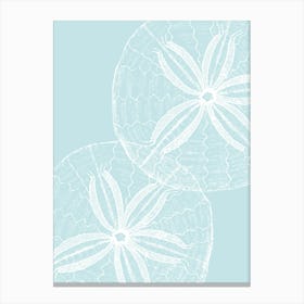 Sand Dollars 3 Canvas Print