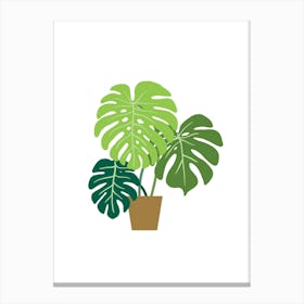 Monstera Plant Wall Art 1 Canvas Print