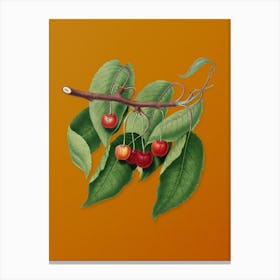 Vintage Cherry Botanical on Sunset Orange n.0643 Canvas Print