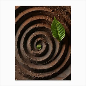 Spirals In The Sand Canvas Print