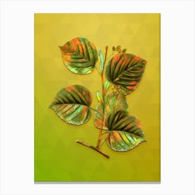 Vintage Linden Tree Branch Botanical Art on Empire Yellow n.0113 Canvas Print