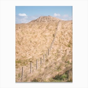 Fence And Dunes Canvas Print