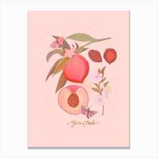 Peach Botanical Canvas Print