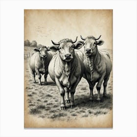 Three Cows In A Field Canvas Print