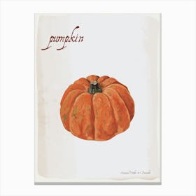 Pumpkin Vintage illustration Print Canvas Print