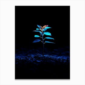 Tree In The Dark 19 Canvas Print