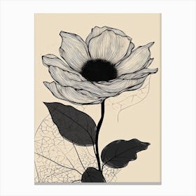 Line Art Sunflower Flowers Illustration Neutral 14 Canvas Print